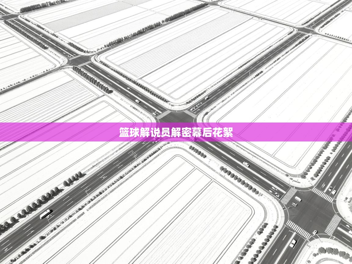 篮球解说员解密幕后花絮  第1张