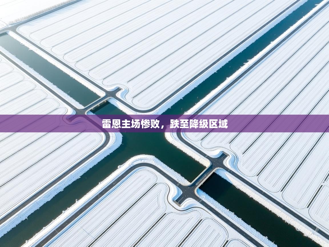 雷恩主场惨败,跌至降级区域 第2张