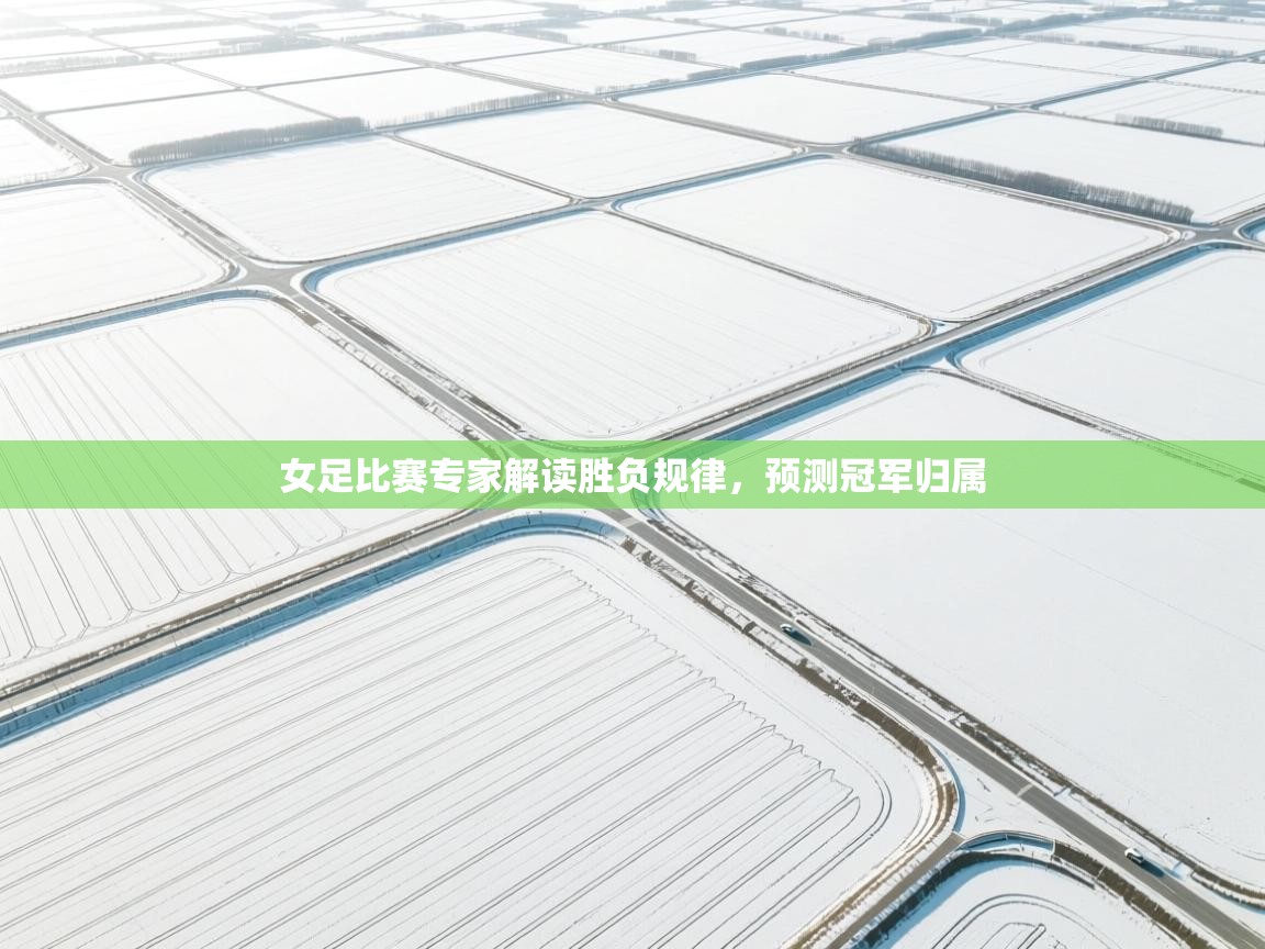 女足比赛专家解读胜负规律,预测冠军归属 第1张