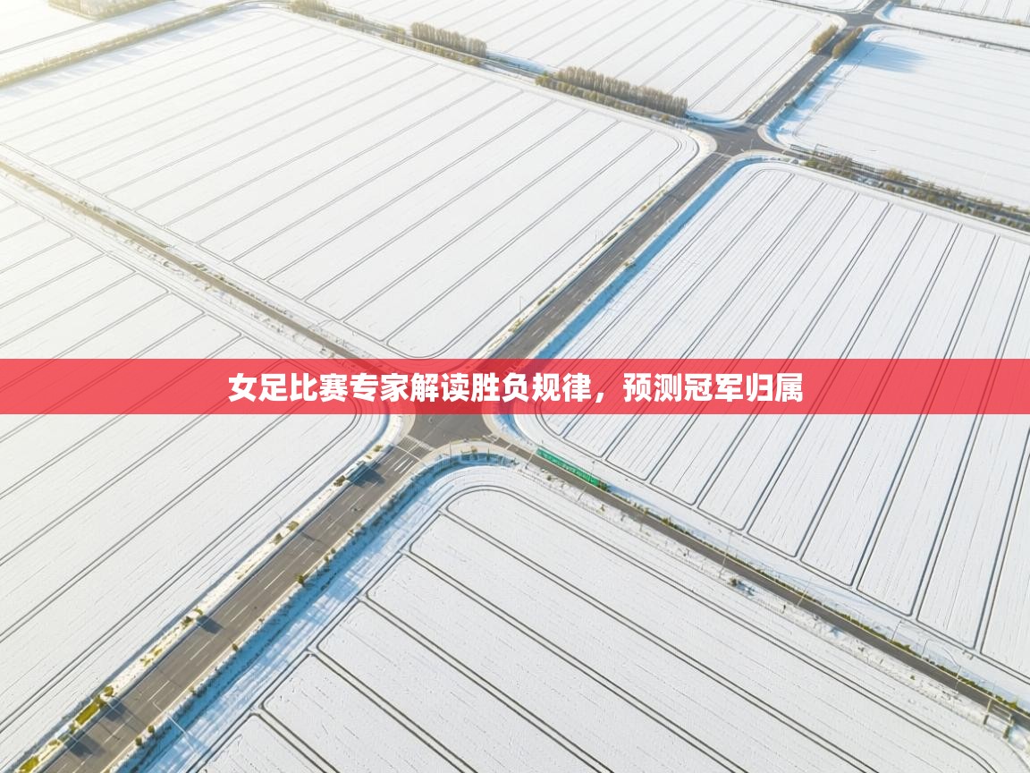 女足比赛专家解读胜负规律,预测冠军归属 第2张