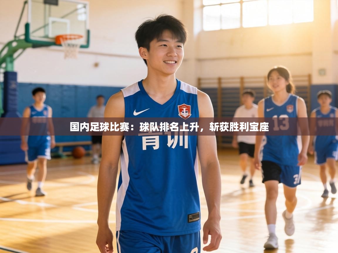 国内足球比赛：球队排名上升，斩获胜利宝座  第2张